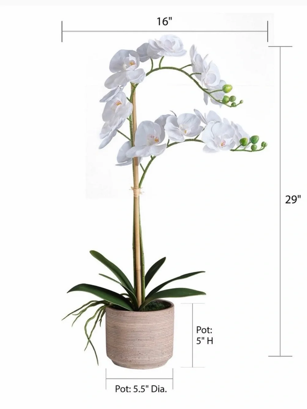 Pair of White Orchid Real Touch 29” in cement pots